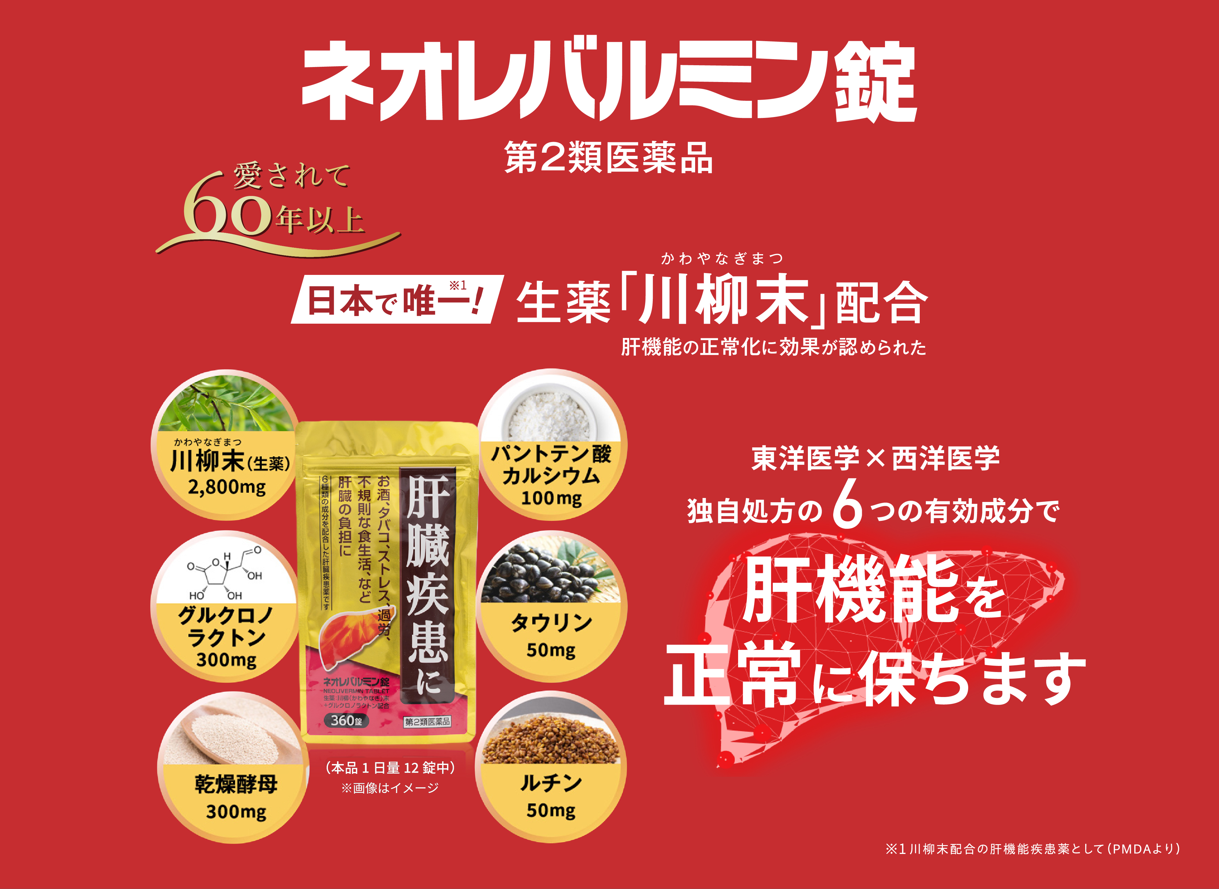肝機能を正常に保ちます