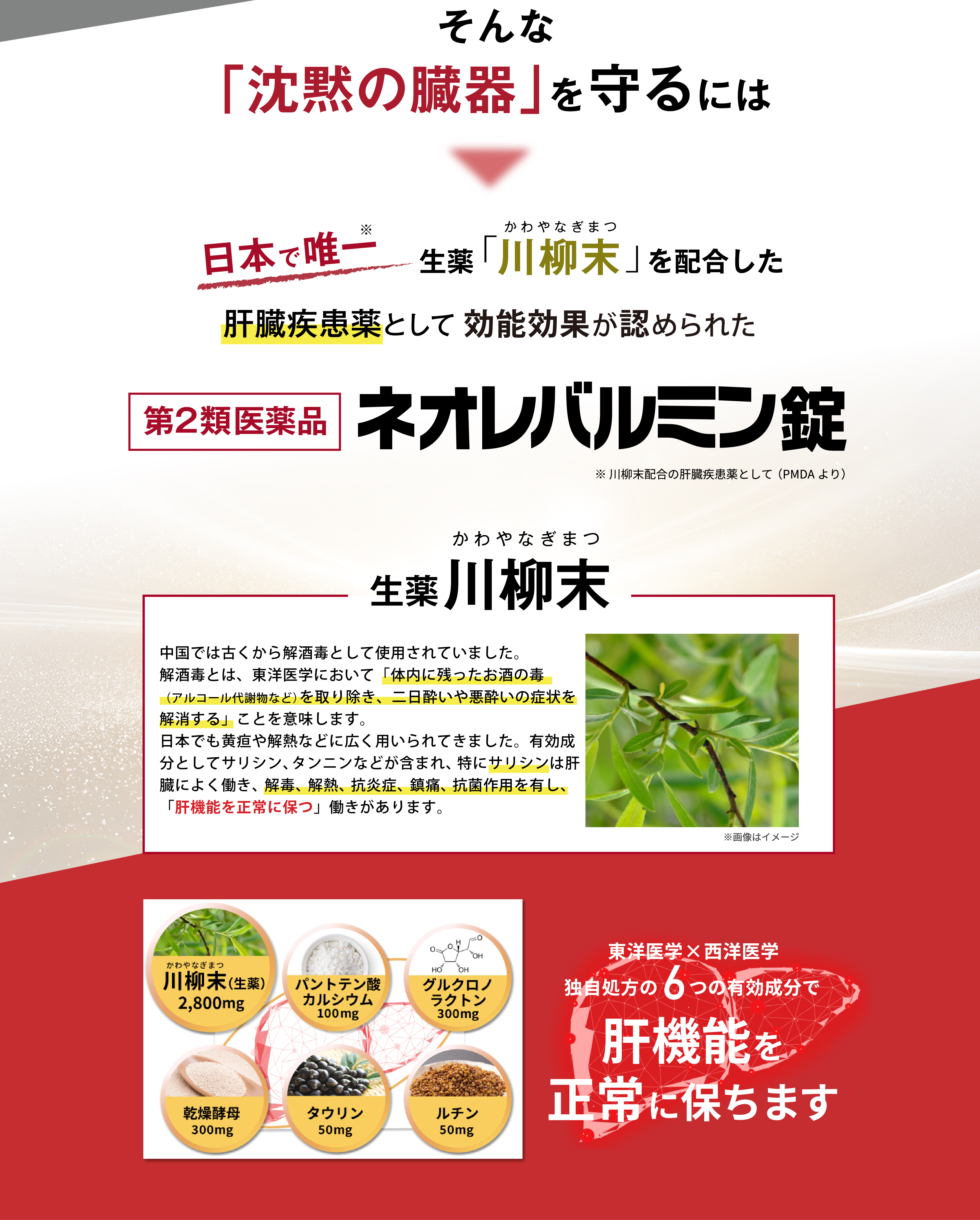 沈黙の臓器を守る