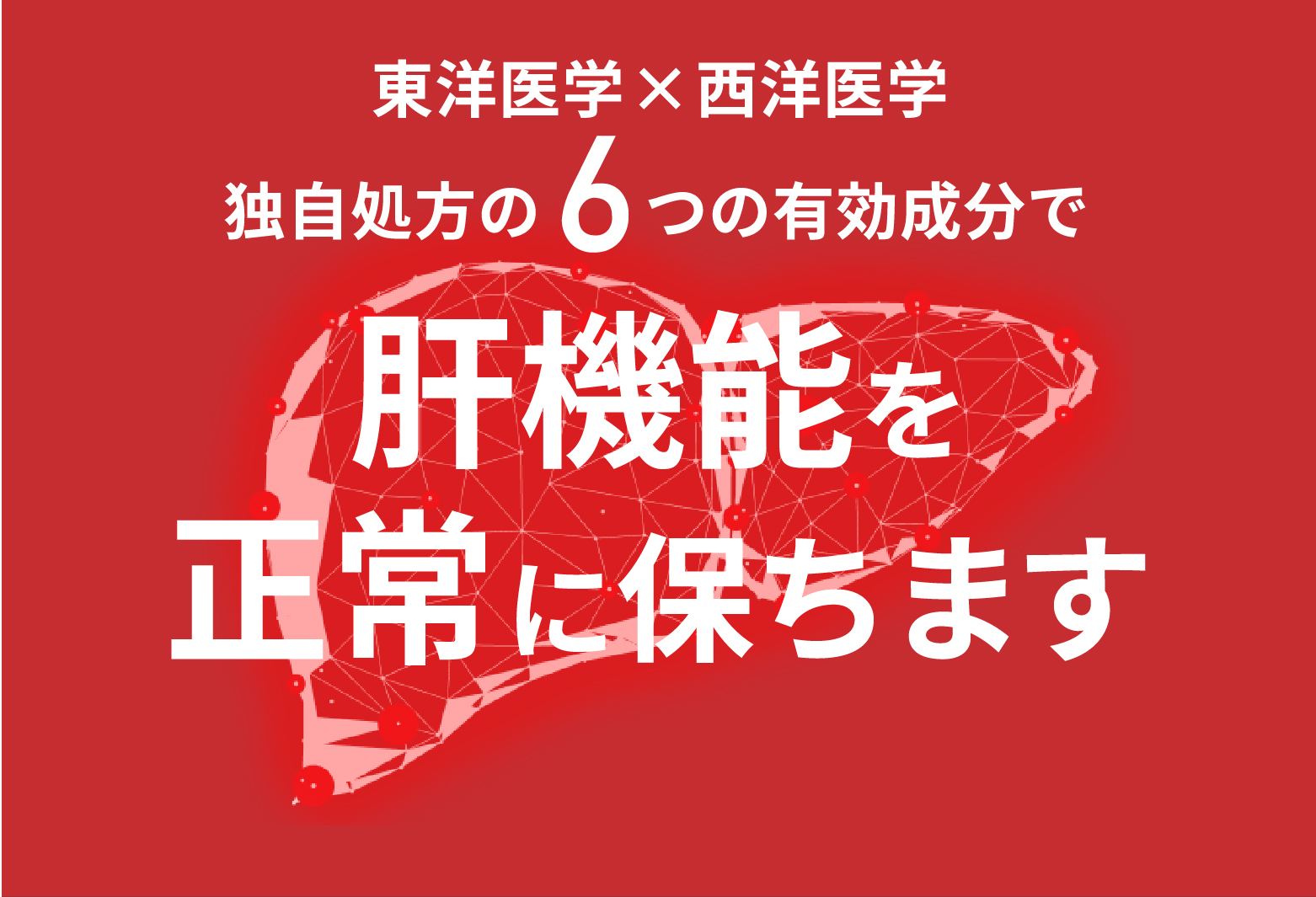 肝機能を正常に保ちます